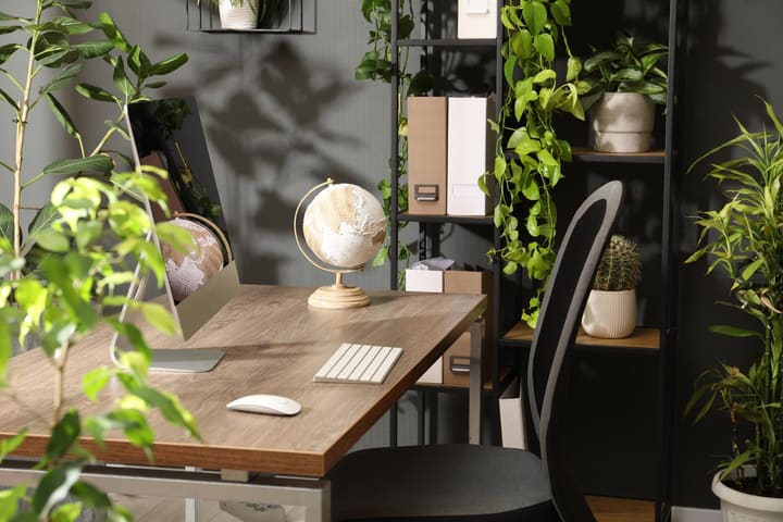 AI-generated search results preview